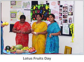 Lotus Gallery 2011-12